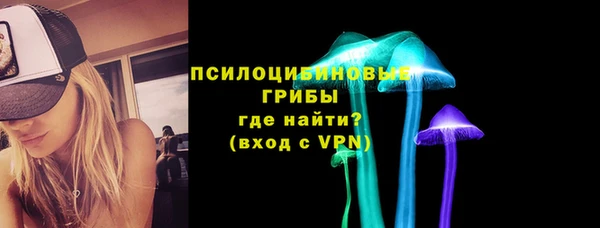 твердый Аркадак