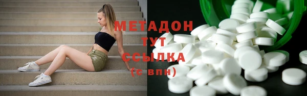 твердый Аркадак