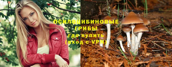 твердый Аркадак