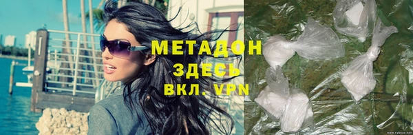 твердый Аркадак