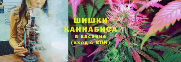 твердый Аркадак