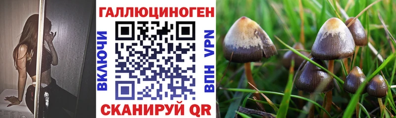 Галлюциногенные грибы Psilocybine cubensis  Богданович 